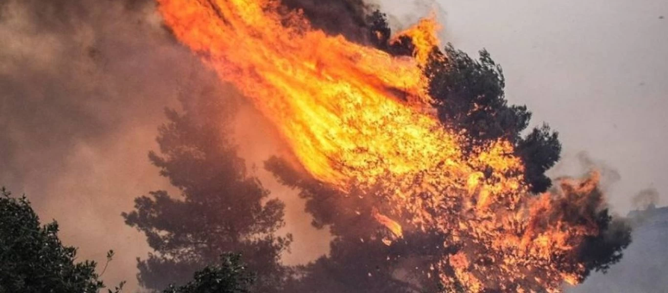 Φωτιά σε δασική έκταση στο Μεσολόγγι